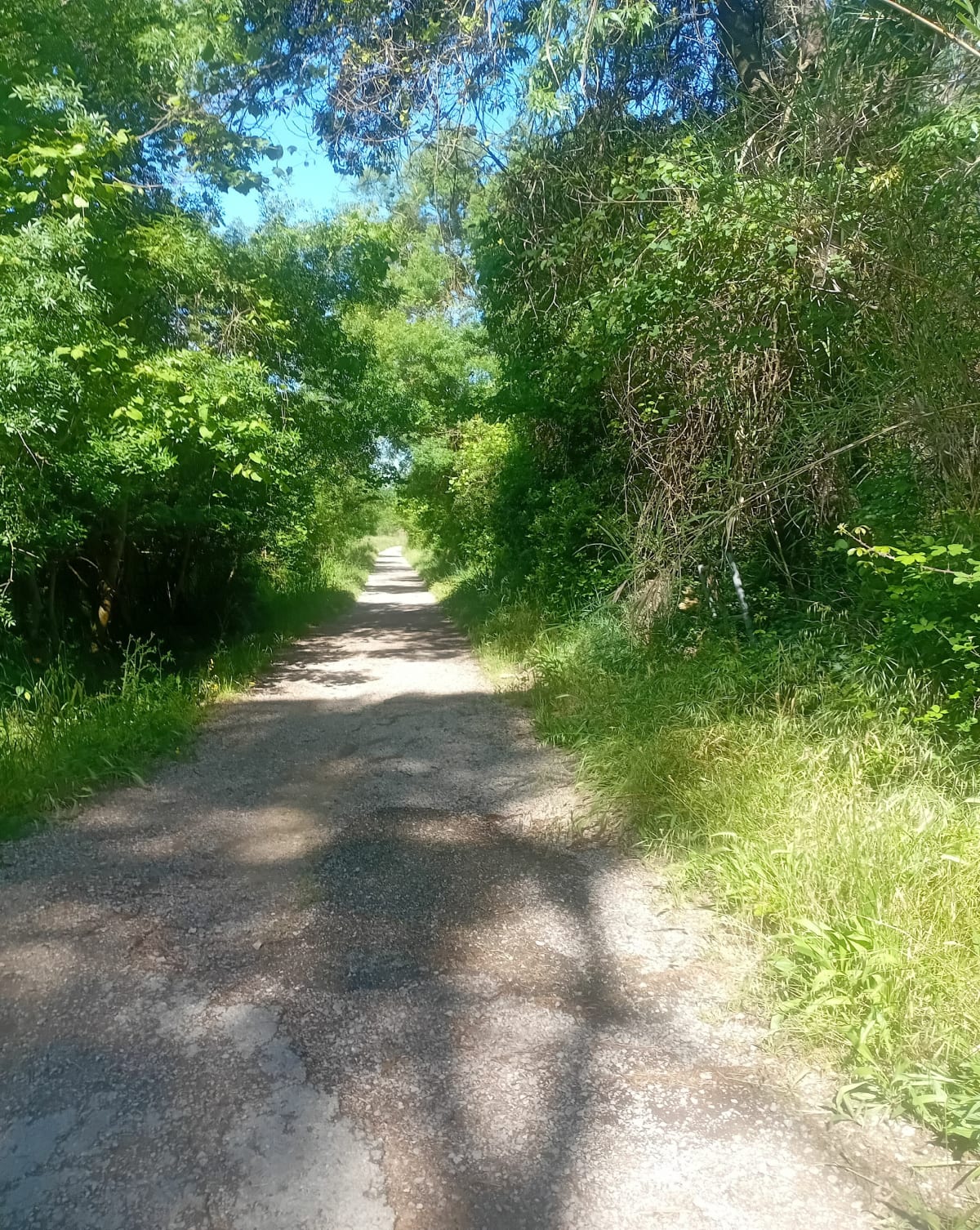 Du Terral à la Mosson - Saint-Jean-de-Védas