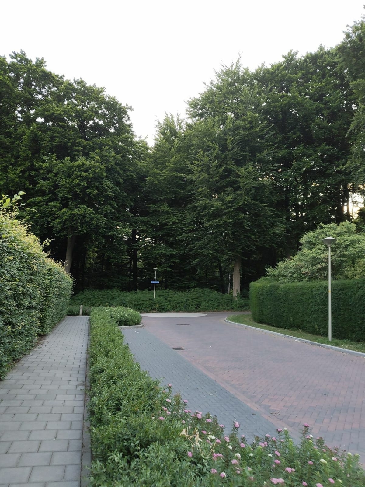 Rondje door het Groesbeekse bos - Groesbeek