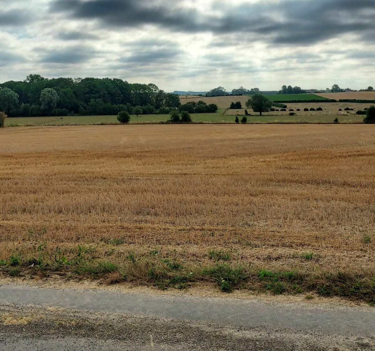 Marche autour de Curgies en passant par Sebourg et Jenlain - Curgies