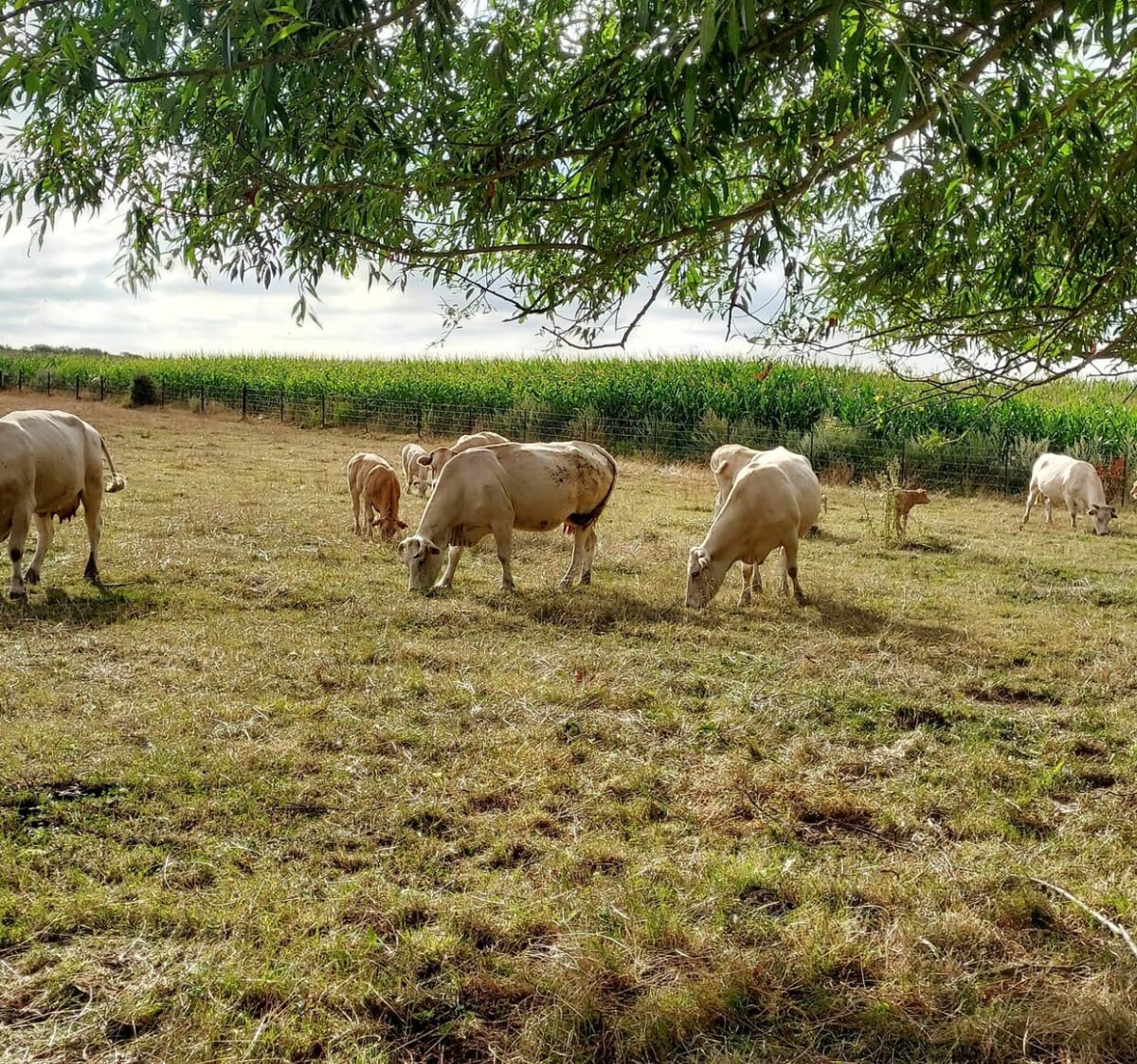 Marche autour de Curgies en passant par Sebourg et Jenlain - PHILIPPE