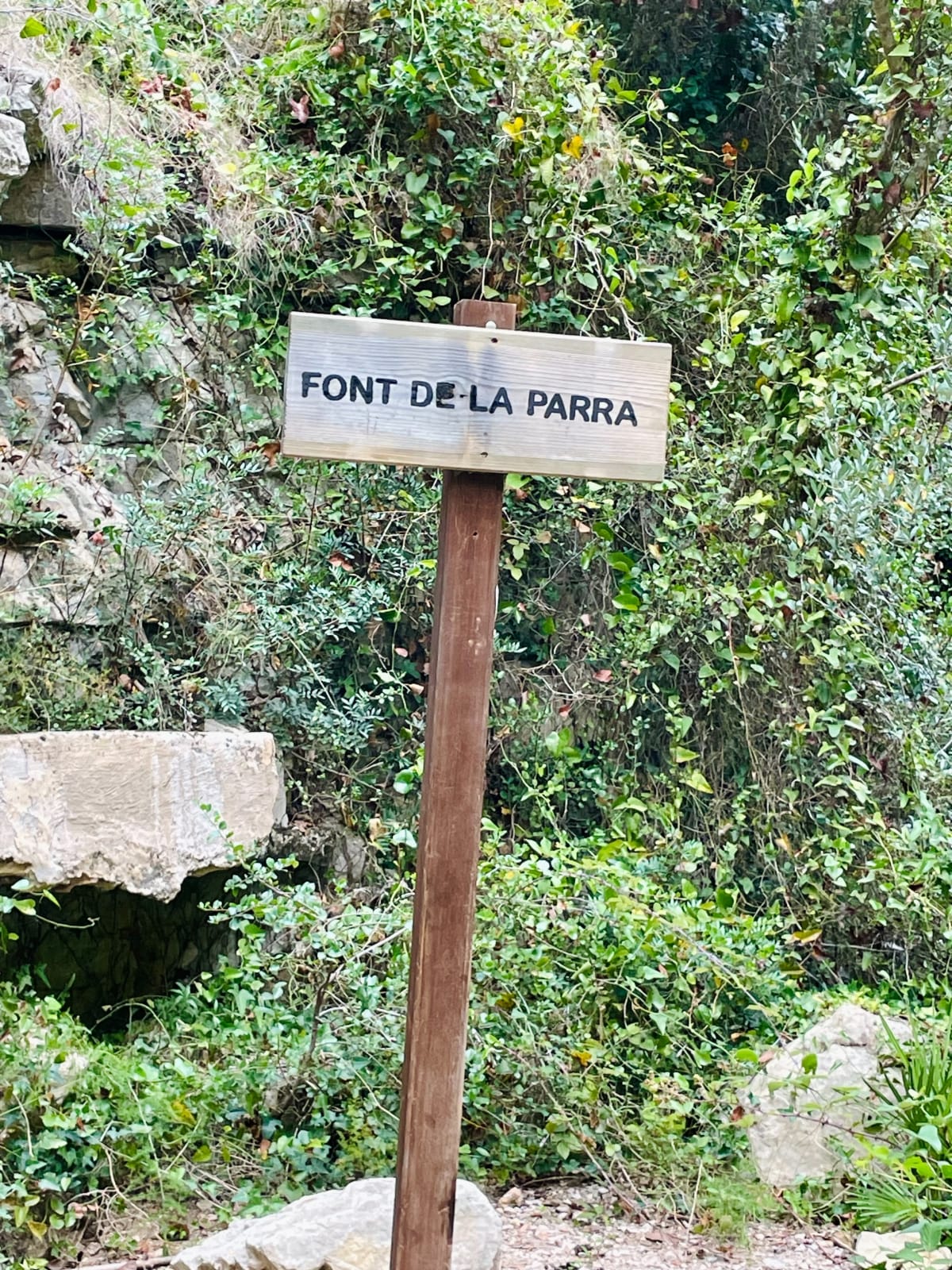 Font de la Parra y Cova de la Pont - partida ribamer