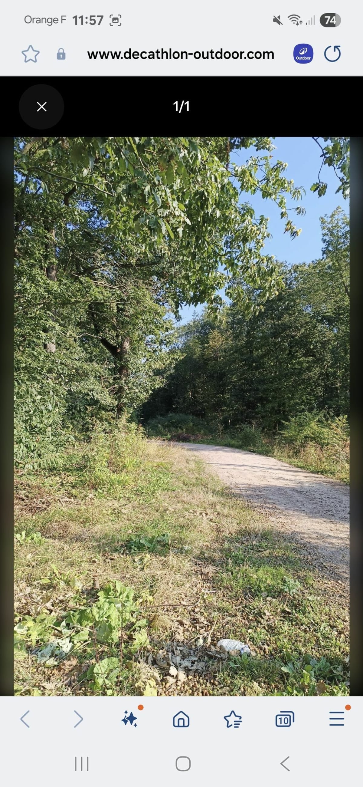 Randonnée dans les sous-bois entre Maule et Les Alluets-le-Roi - Maule