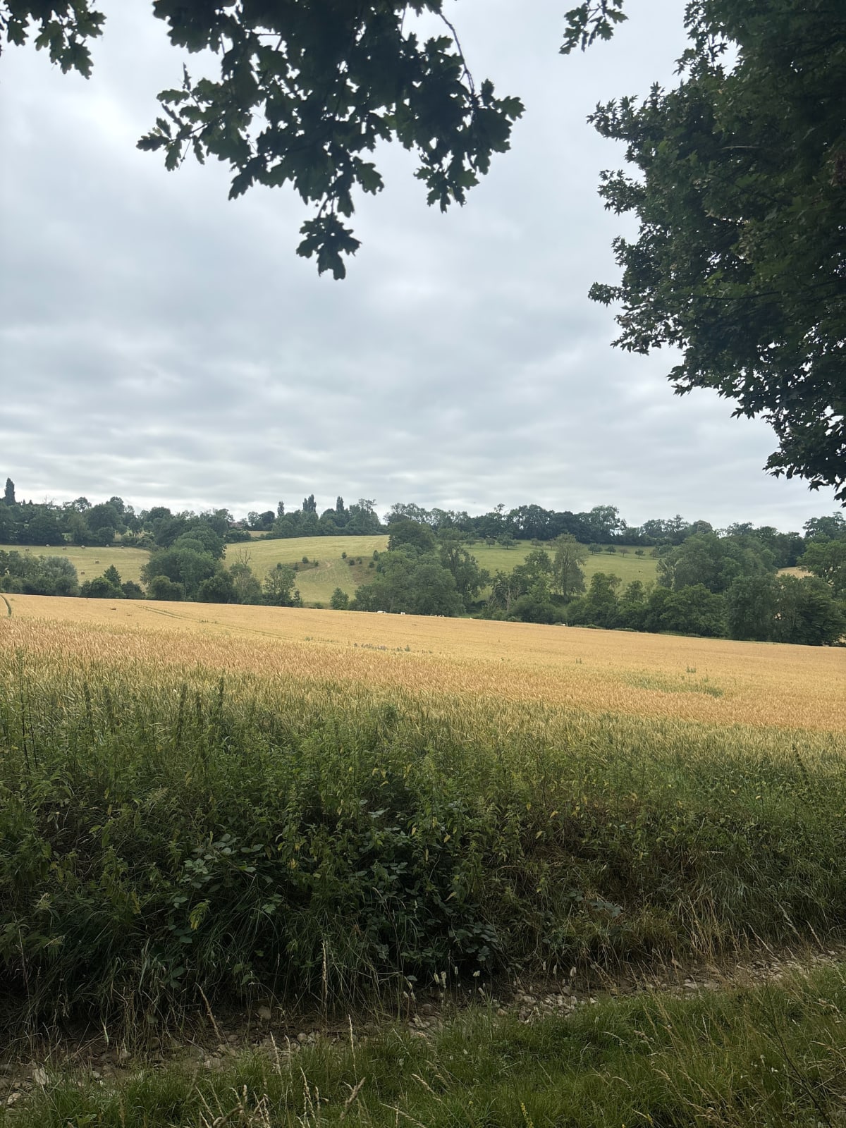 Balade à Villers-sur-Auchy - Villers-sur-Auchy