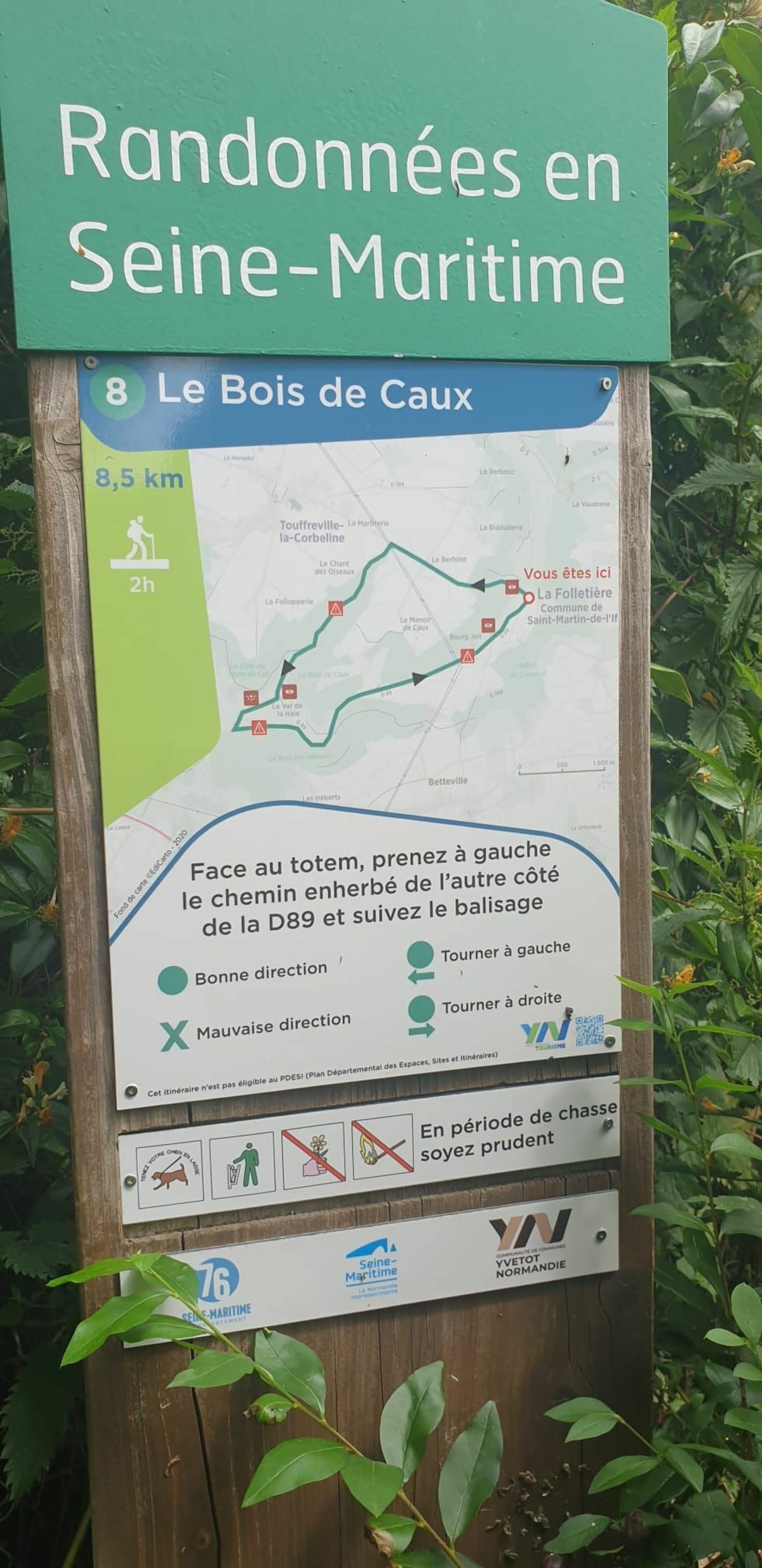 Randonnée du Bois de Caux - Saint-Martin-de-l'If
