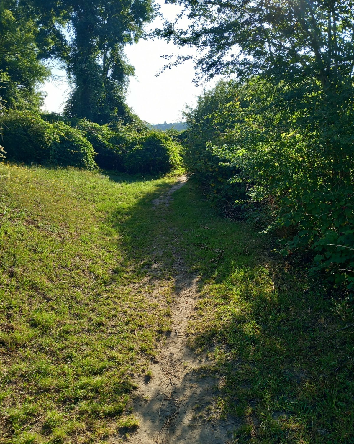 Bords de seine de Cergy à Carrières-sous-Poissy - Andrésy