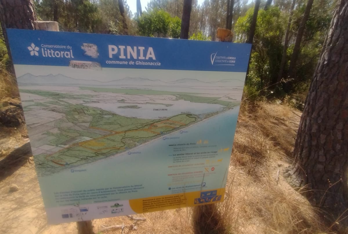 Etang d'Urbinu à la Pinia en Corse - Ghisonaccia