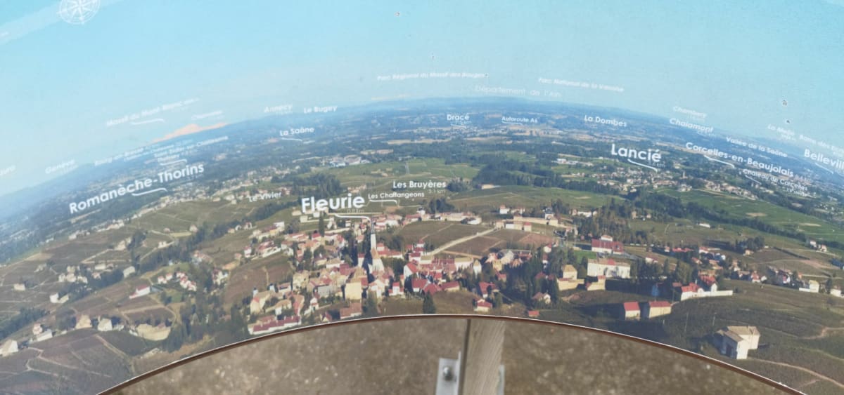 Circuit de la grappe Fleurie - Fleurie