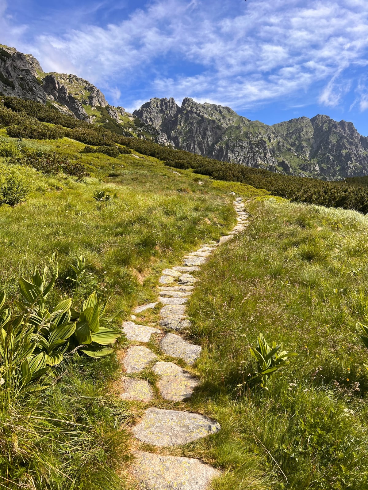 Krzyżne z doliny 5 stawów - Zakopane