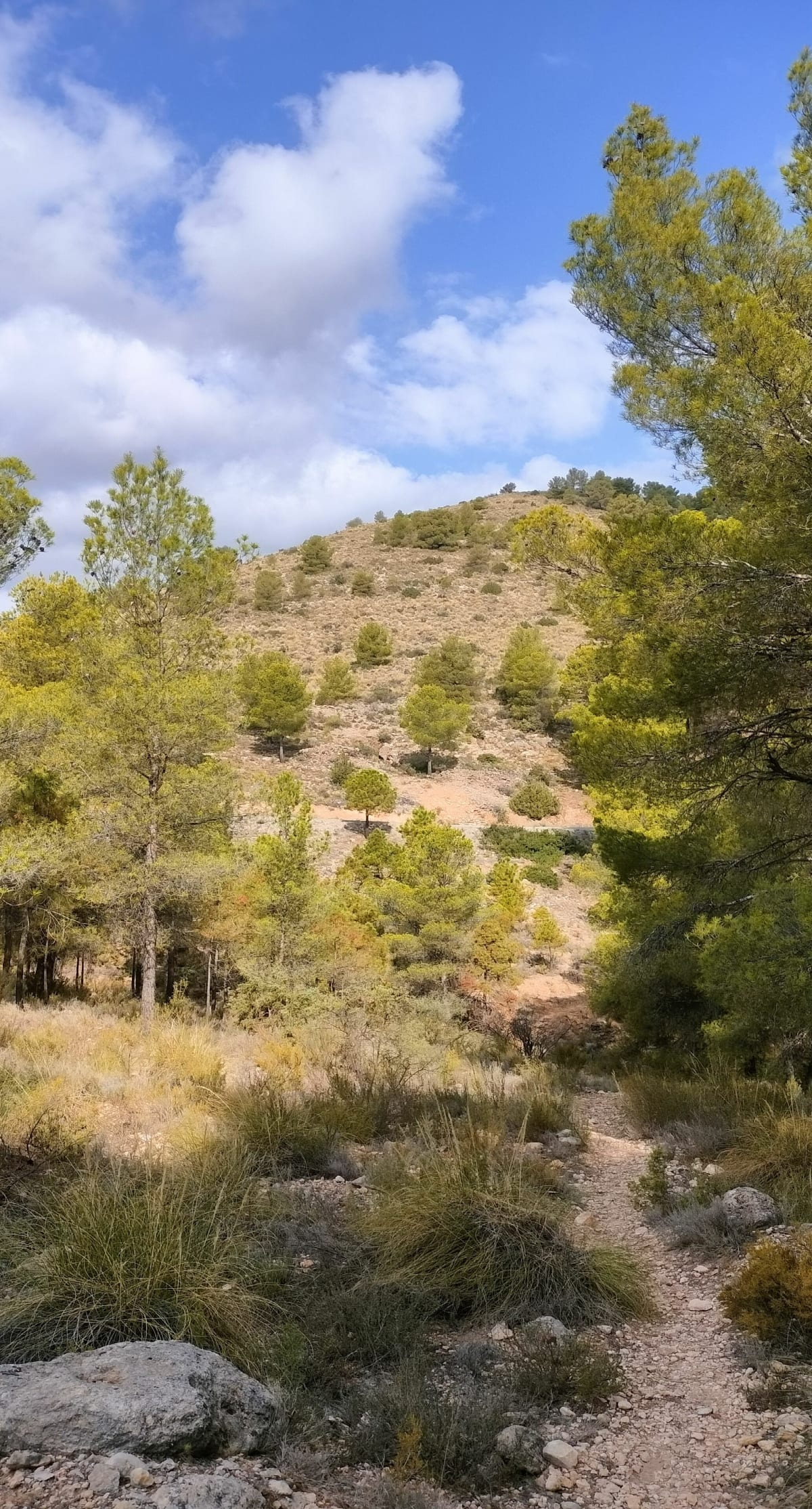 Caravaca de la Cruz et El Buitre - Caravaca de la Cruz
