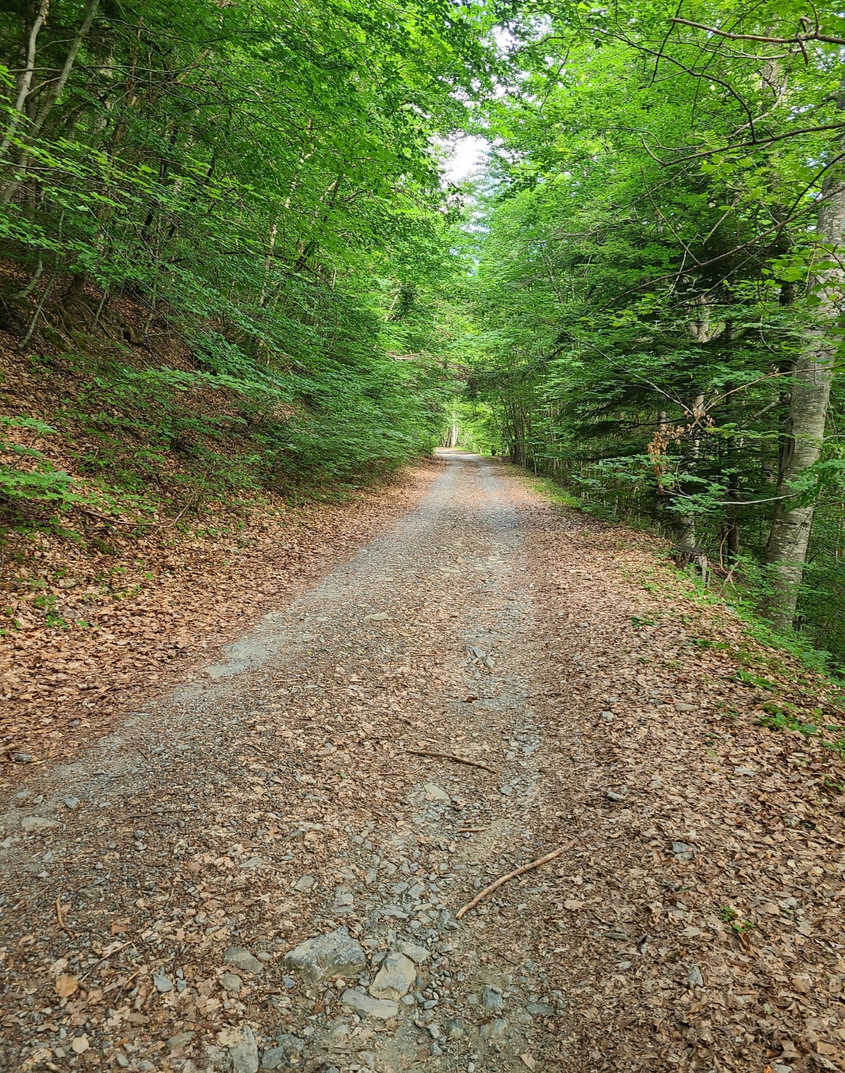Col de la Pinée depuis Auzet - Auzet