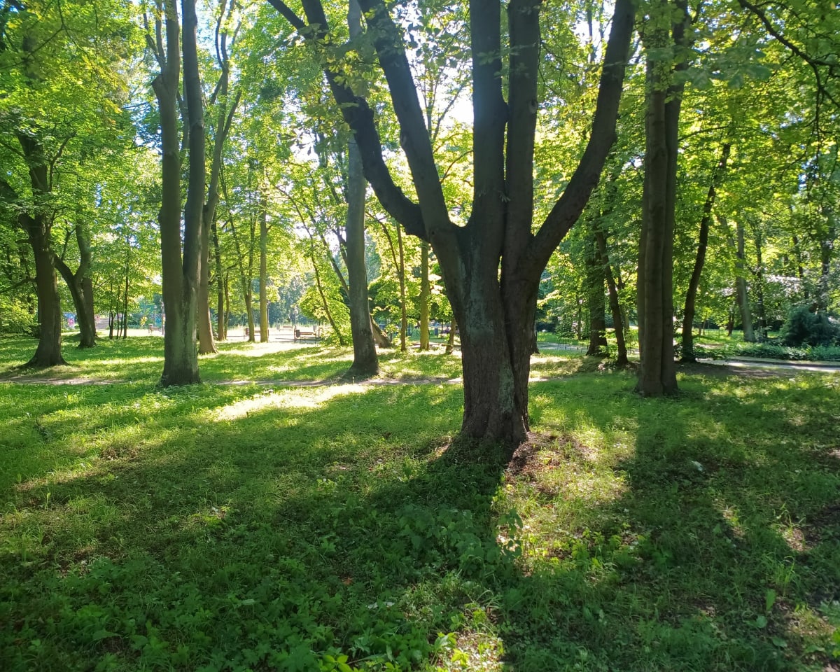Spacer nad rzeką Nogat w Malborku - Malbork
