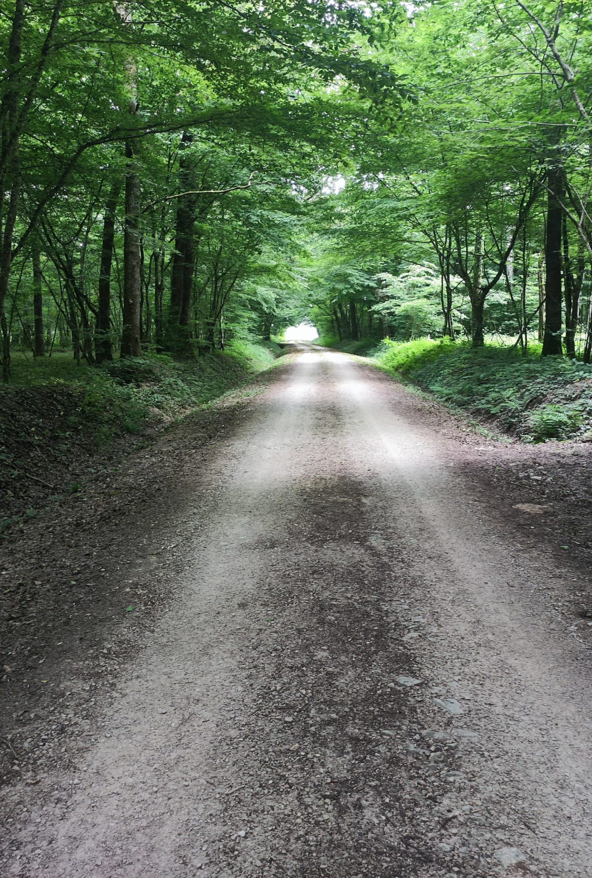 Boucle n°1 à Saint-Germain-du-Bois - Saint-Germain-du-Bois