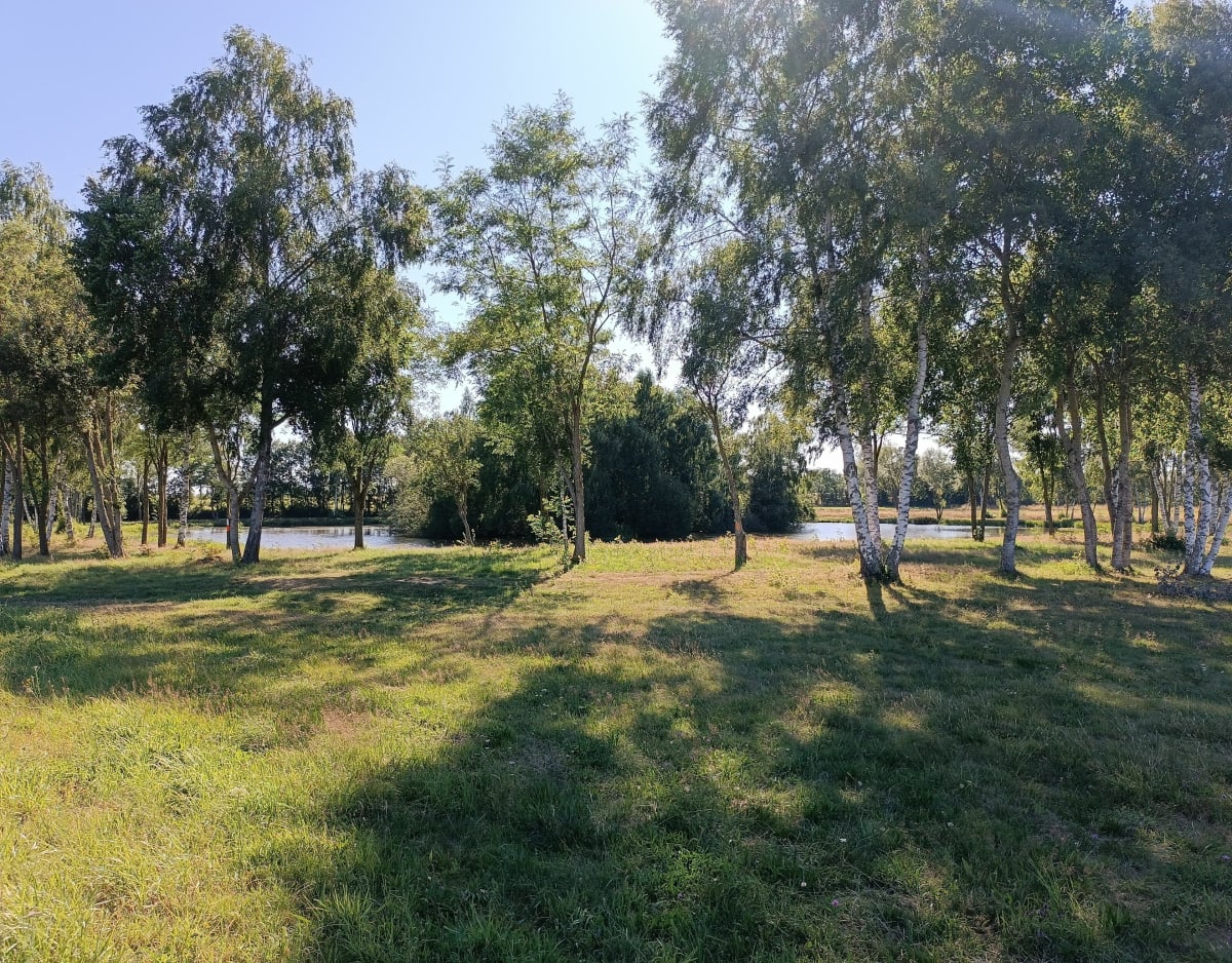 Boucle depuis Anglards-de-Saint-Flour - Anglards-de-Saint-Flour