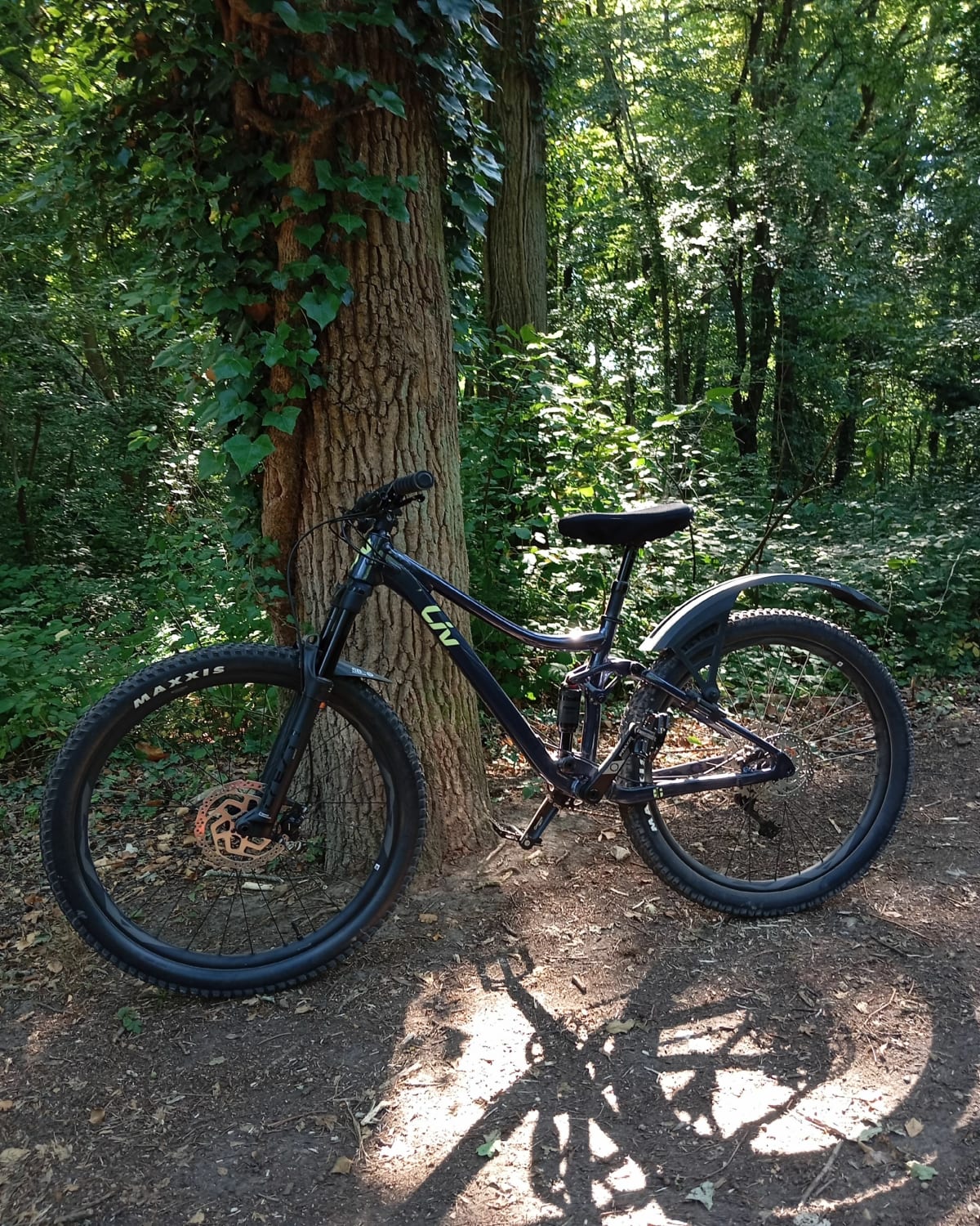 Boucle dans les forêts yvelinoises - Lévis-Saint-Nom