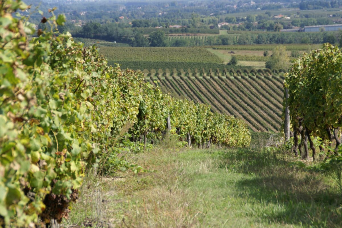 Boucle de Saint-Pierre d'Aurillac et douceur des berges de la Garonne