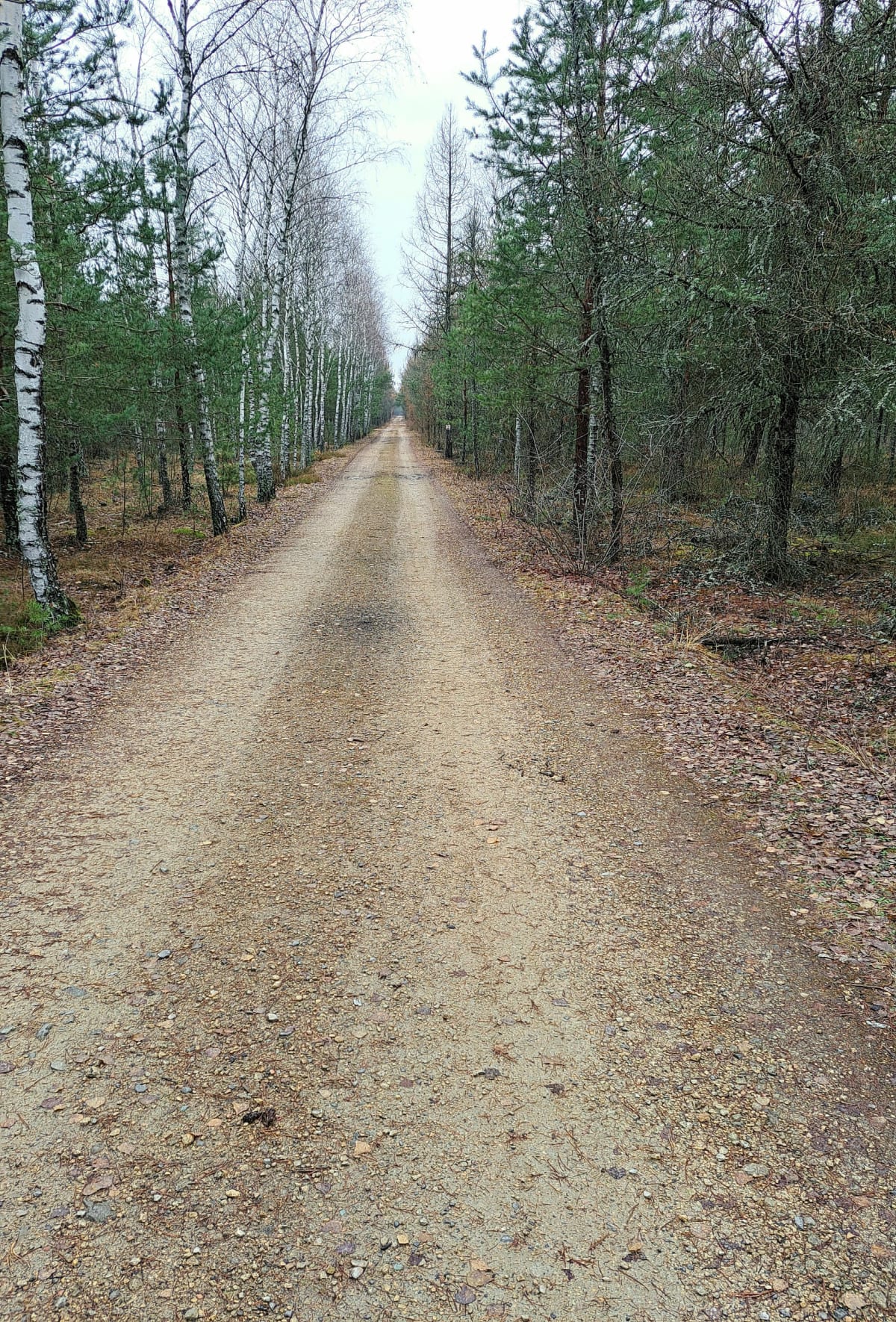 Las Błędowski - Klucze