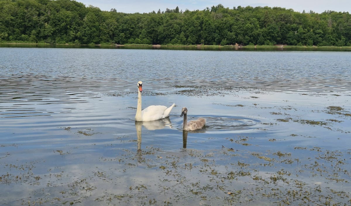 Wycieczka wokół jeziorabOtomin - Gdańsk
