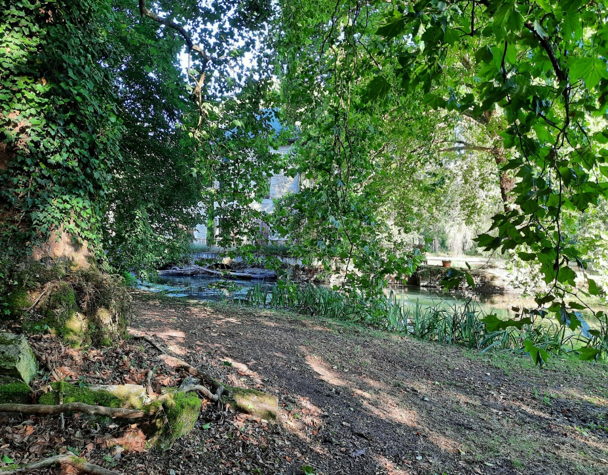 Balade à Champagné-Saint-Hilaire par les moulins - Champagné-Saint-Hilaire