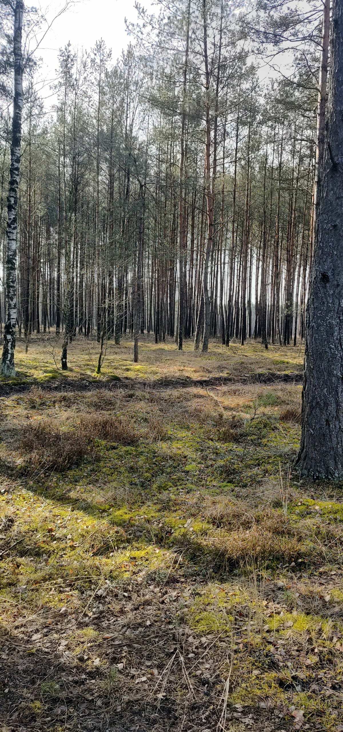Aktywnie nad jezioro - Piła