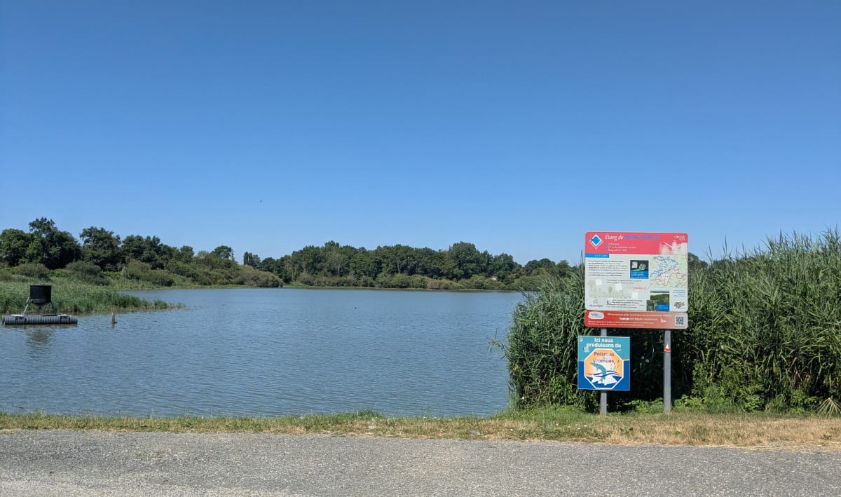 Petit tour à l'étang du Monthieux - Saint-André-de-Corcy