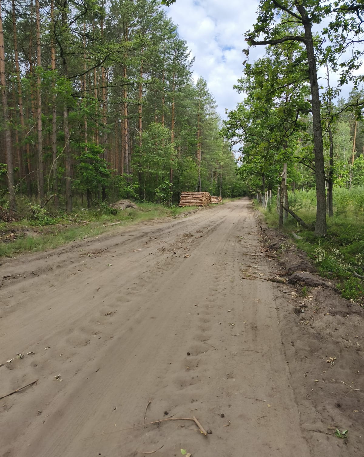 Rezerwat Przyrody Małga - Szuć