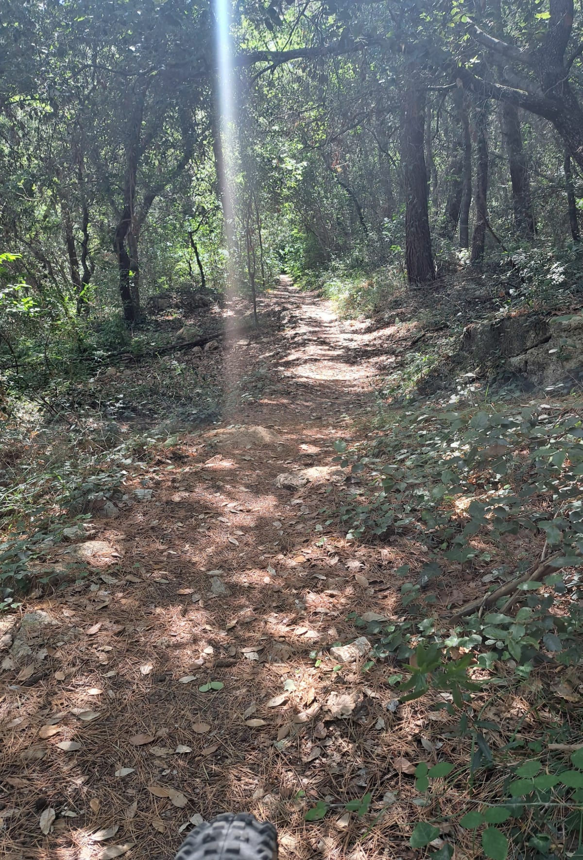 Sortie VTT tout niveaux à Sophia Antipolis - Philippe
