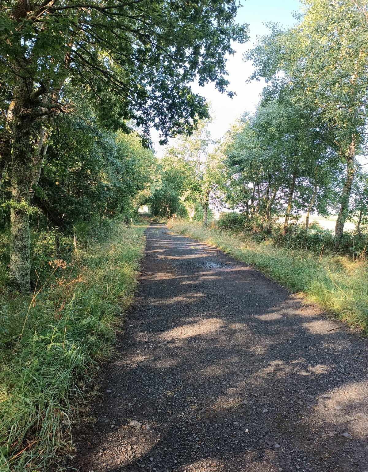 Anglards via Rabillou - Anglards-de-Saint-Flour