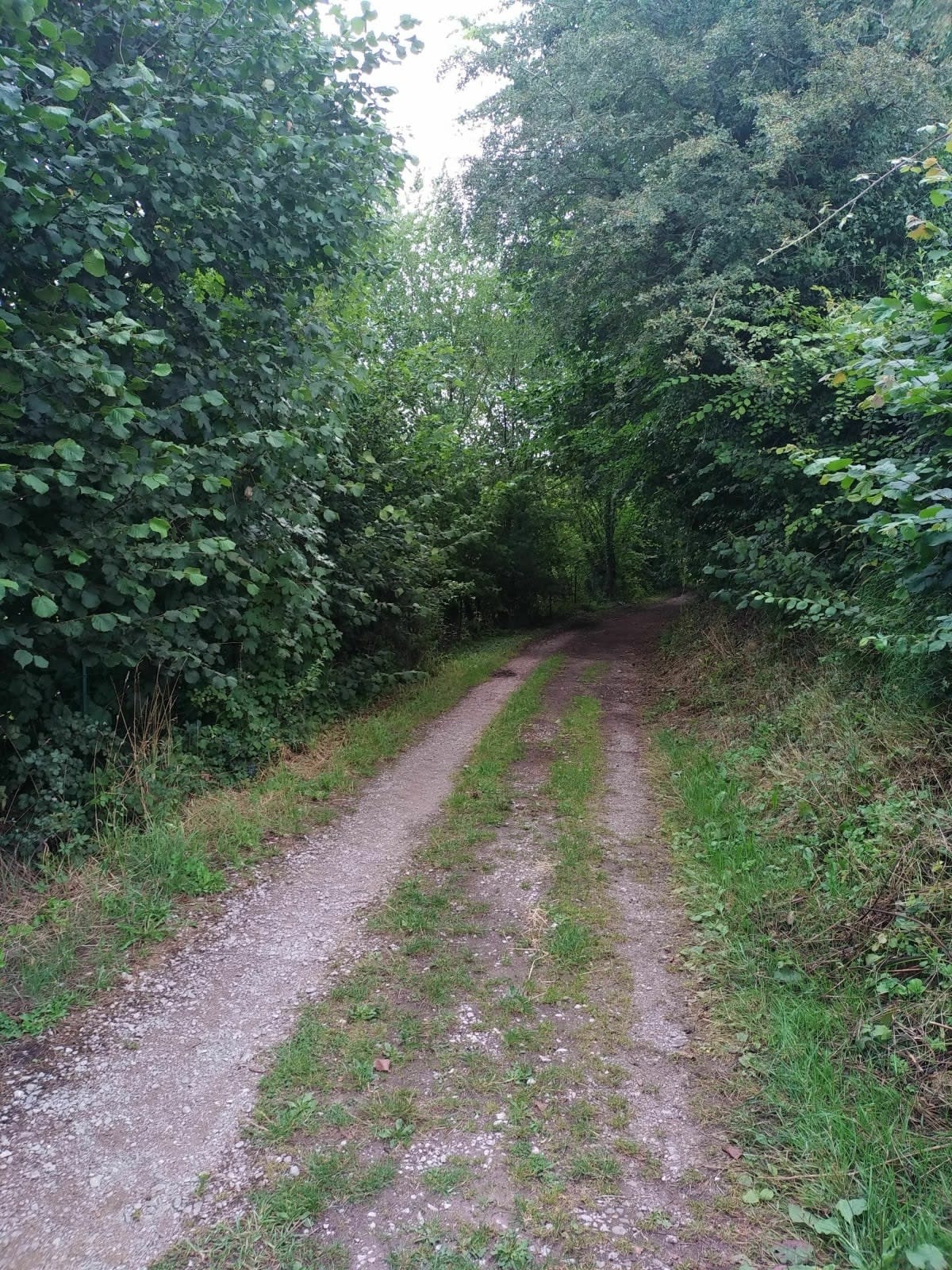 Parcours sur chemins entre Saint-Maurice-l’Exil et Clonas-sur-Varèze - Saint-Maurice-l'Exil