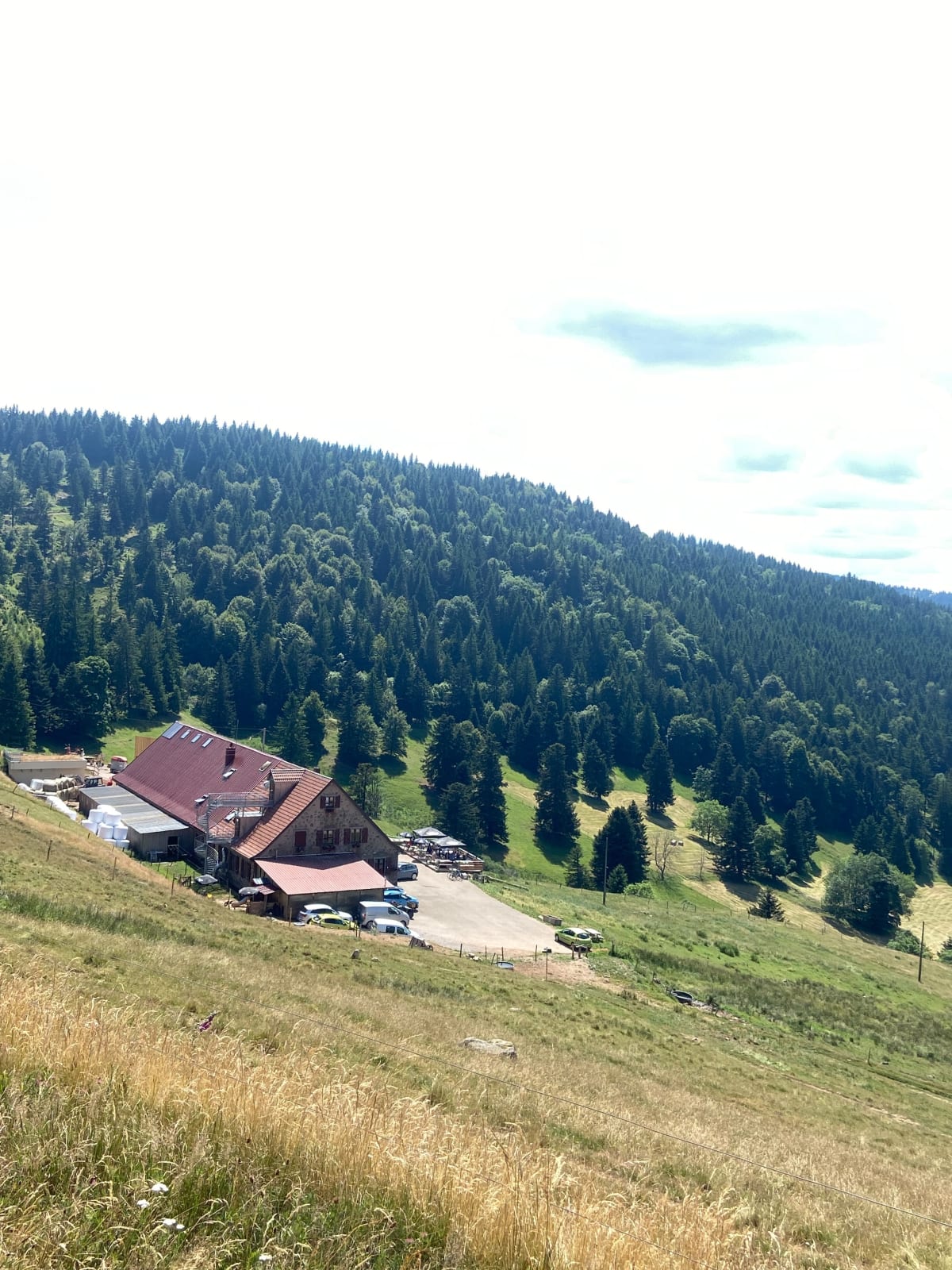 Eguisheim, Petit Ballon - Brigitte