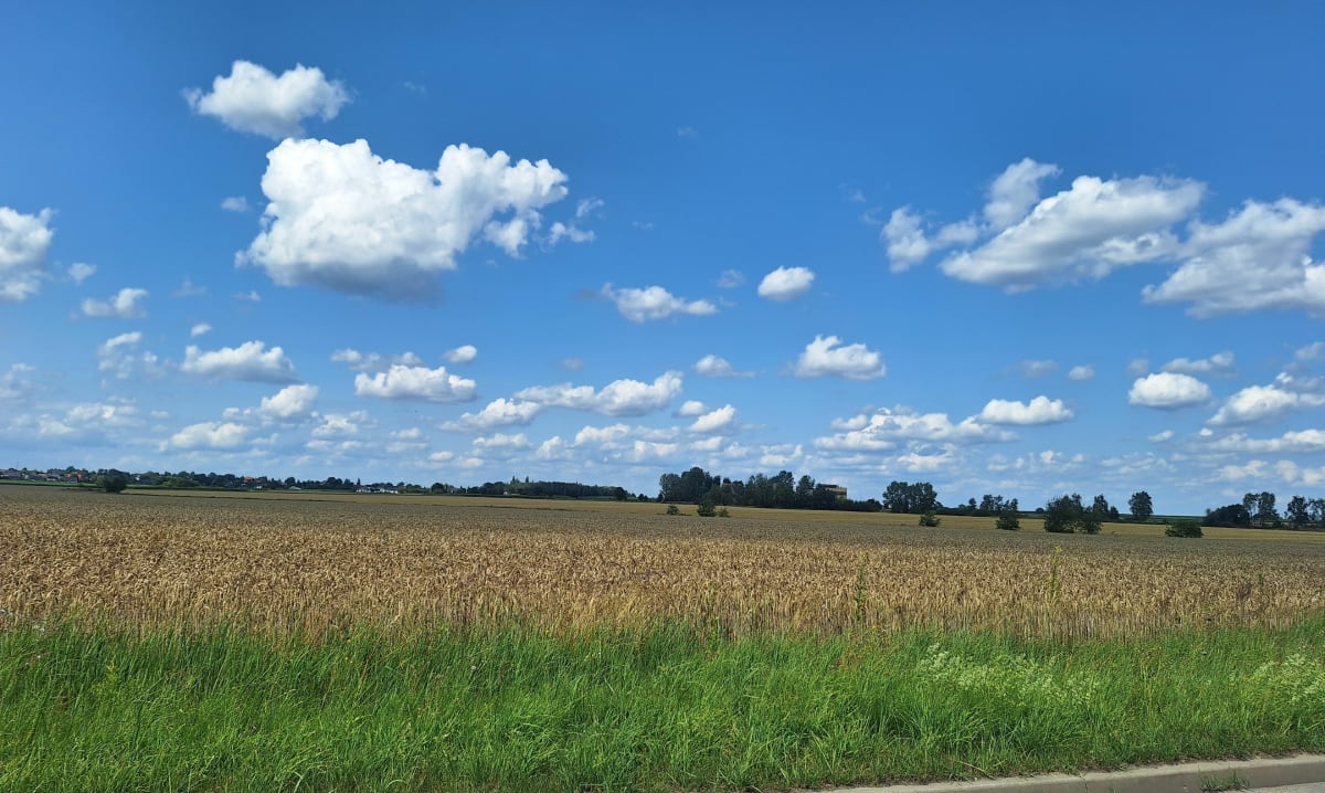 Knurow. spacer - Knurów