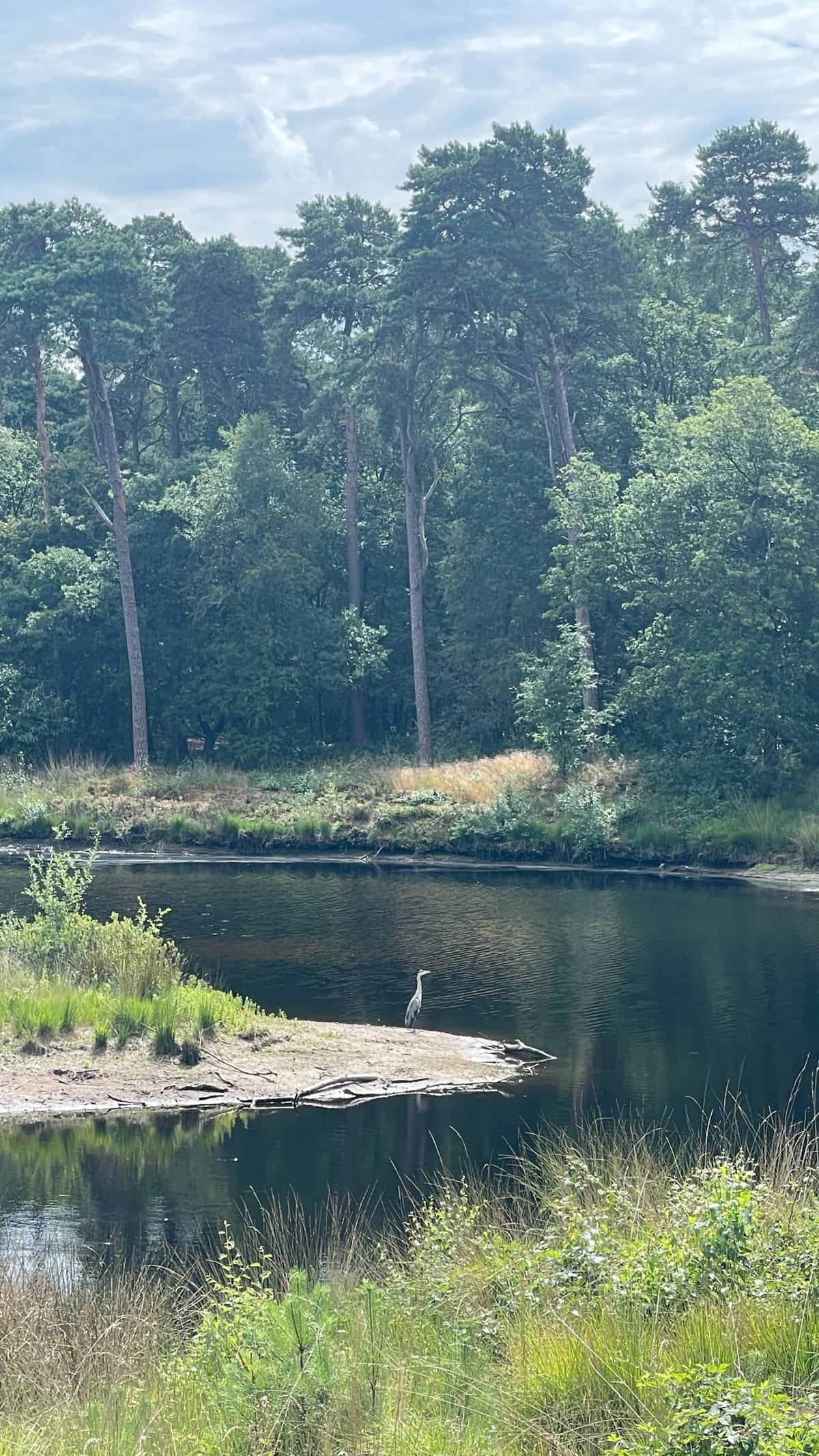 Veertien vennen route - Oisterwijk