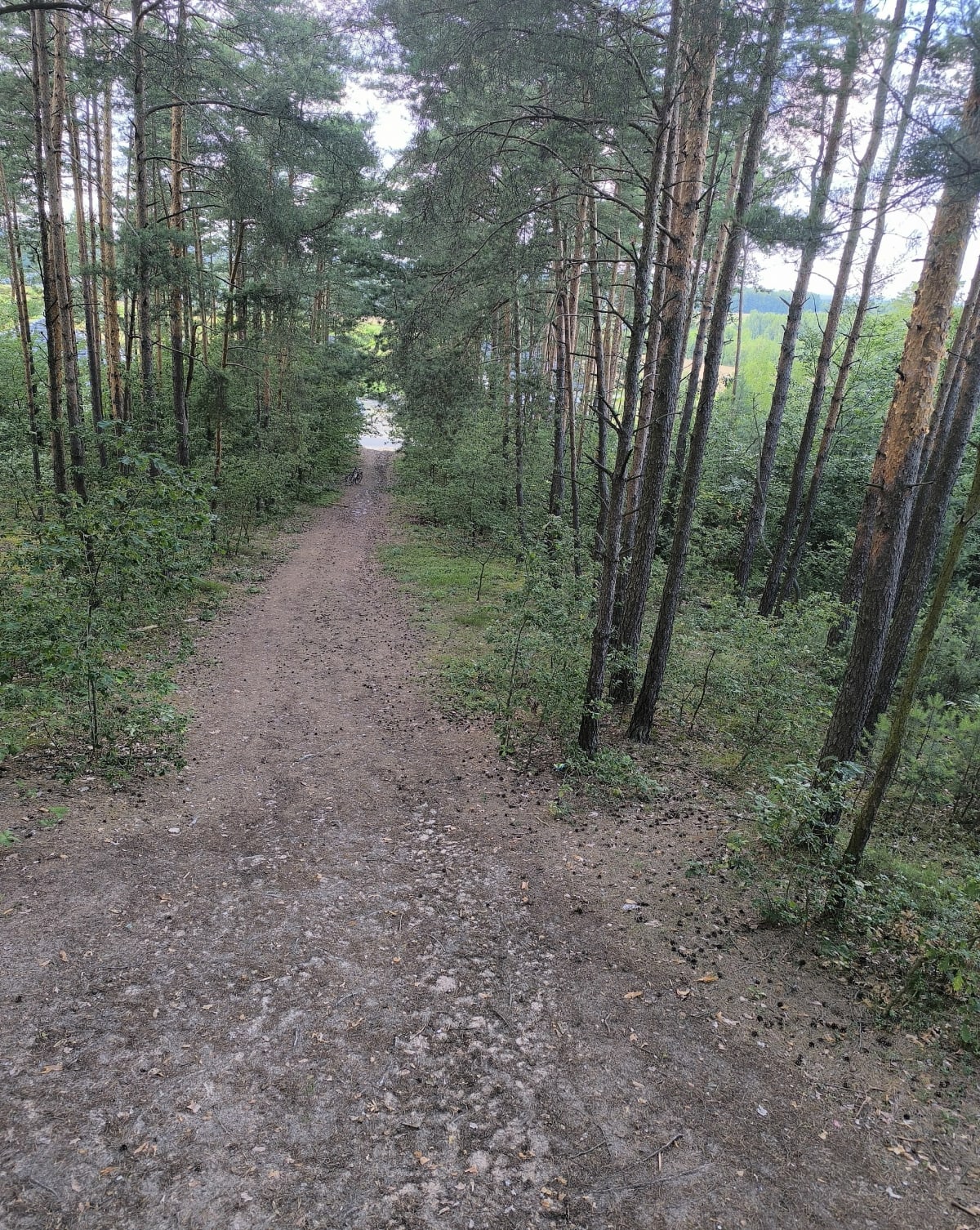 Częstochowa- Konopiska-Niwy-Pajdowa Gora-Blachownia - Częstochowa