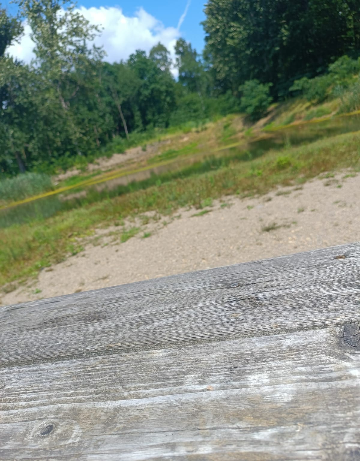 Stawiki/park tysiąclecia - Sosnowiec