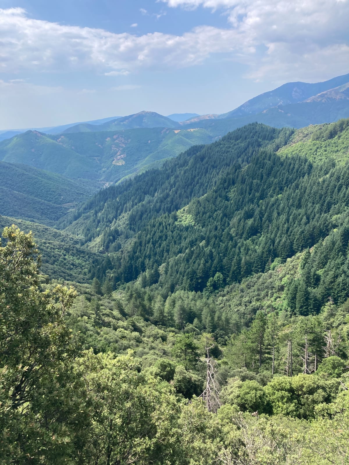 Sortie dans le Val d'Aigoual - Val-d'Aigoual