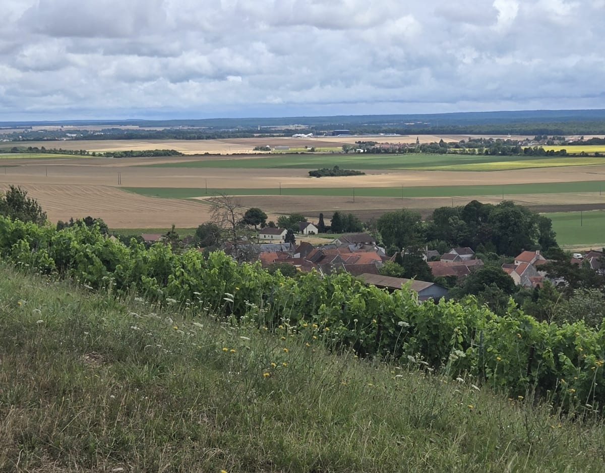 Chemin du Coucou de Larrey - Larrey