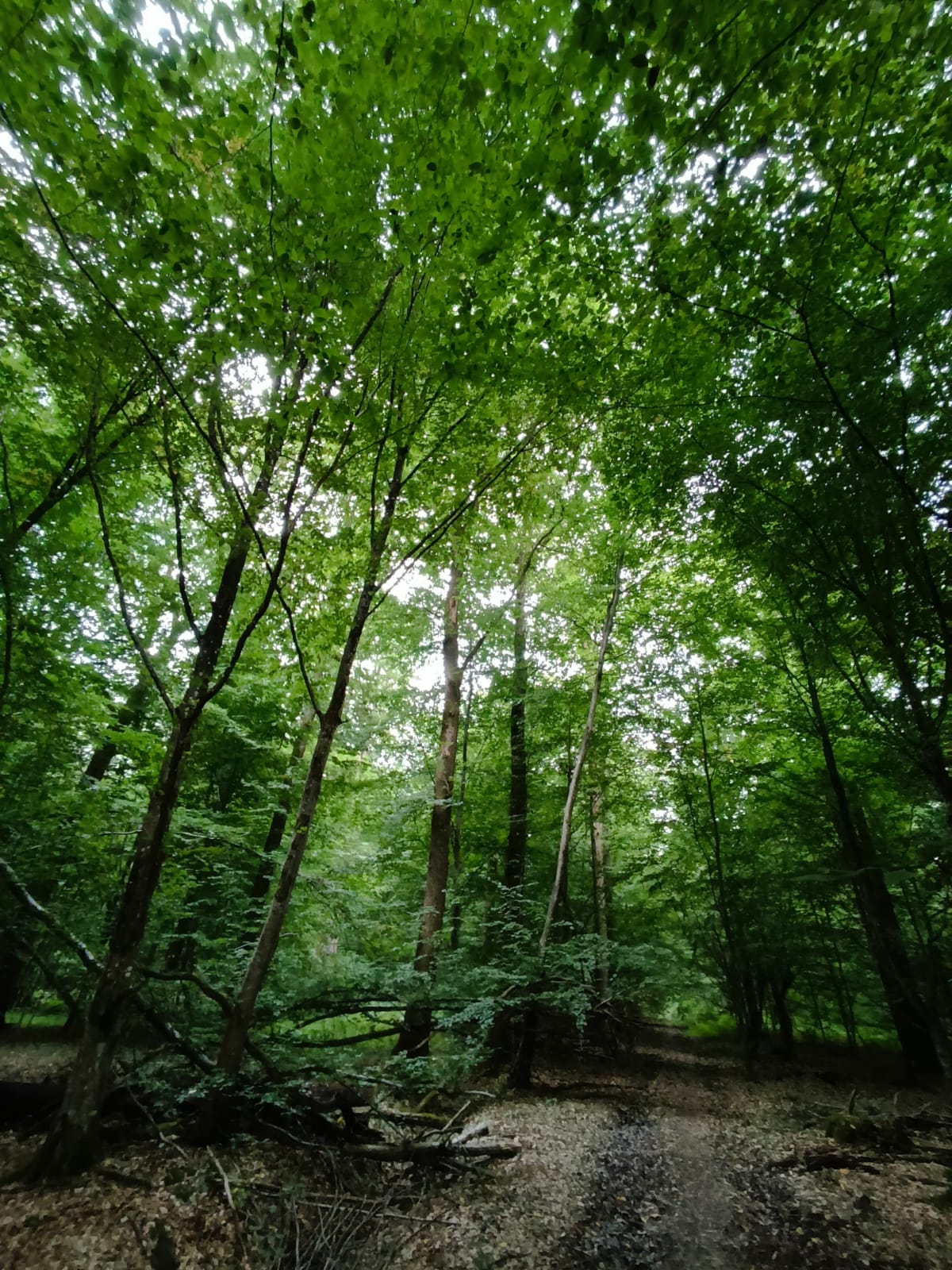 Balade à Malvoisine - Faremoutiers