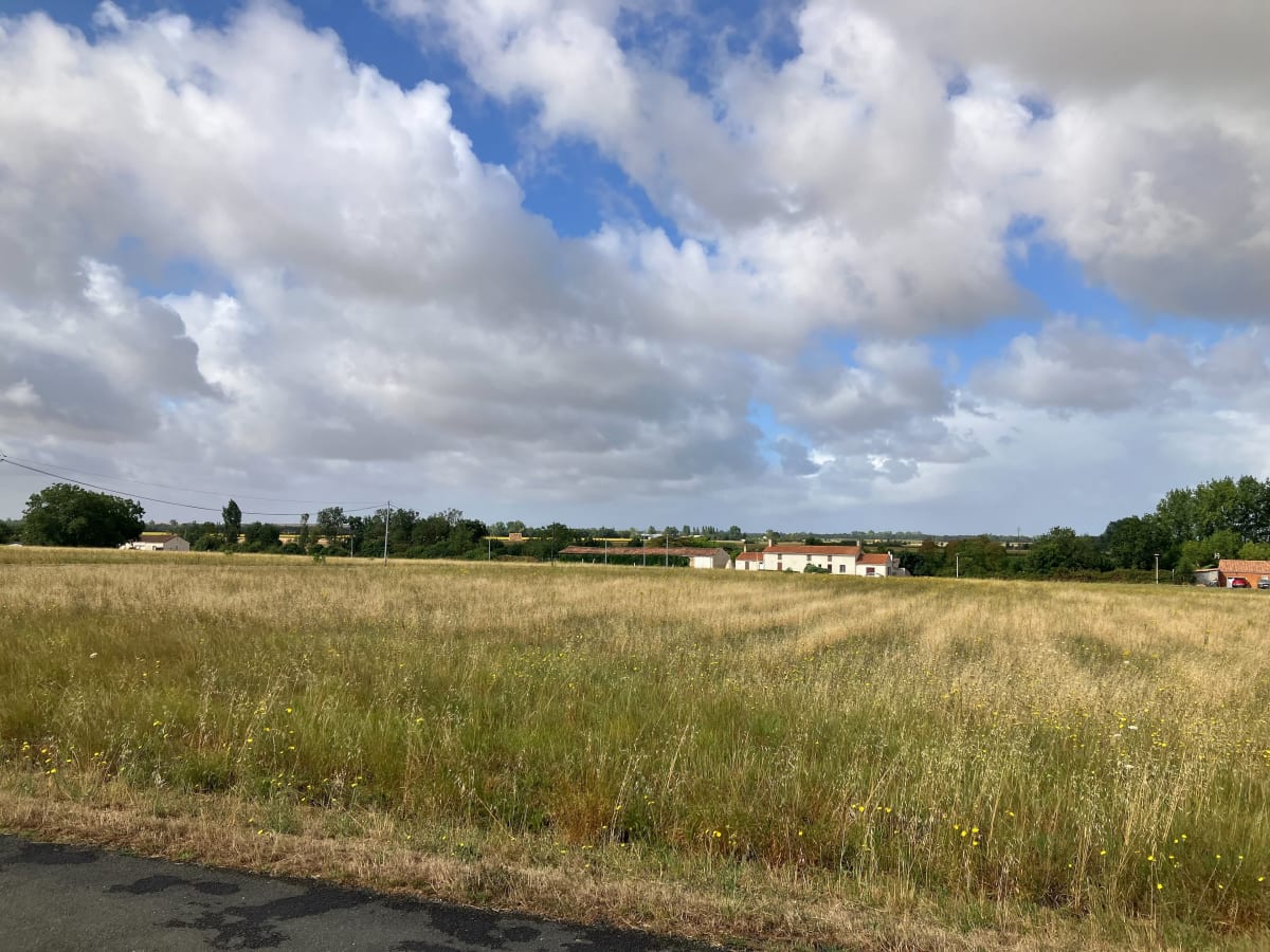 Randonnée VTT à Gué de Velluire - Le Gué-de-Velluire