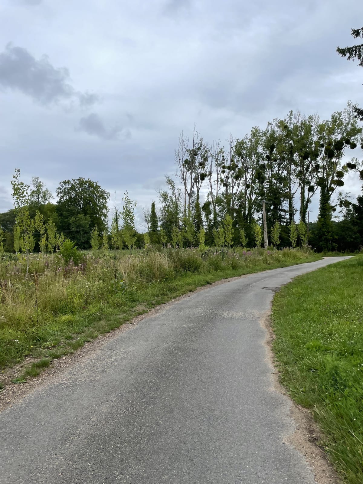 Balade à vélo par le Chemin des Digues - Villiers-le-Morhier