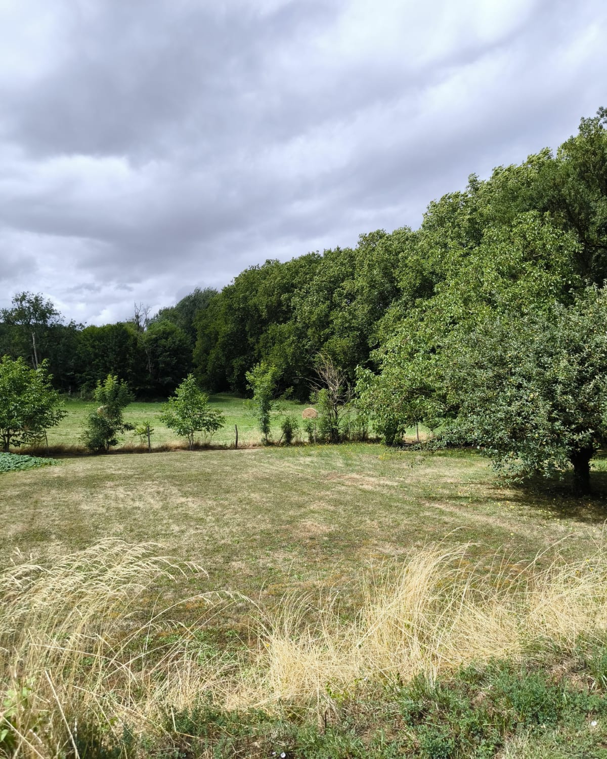 Le sentier au fil de l'Herbon - Massay