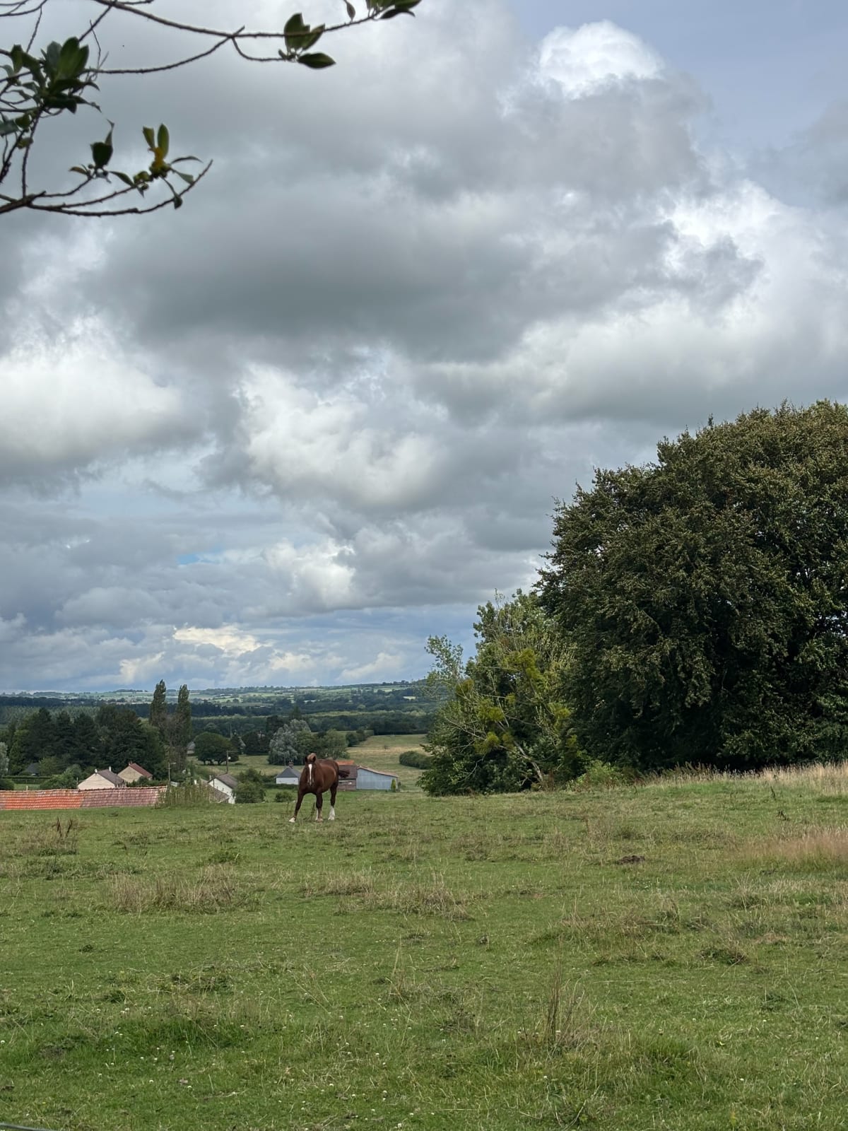 La randonnée de Mésangueville - Mésangueville