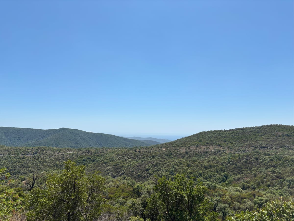 Parking Lambert - Bormes-les-Mimosas