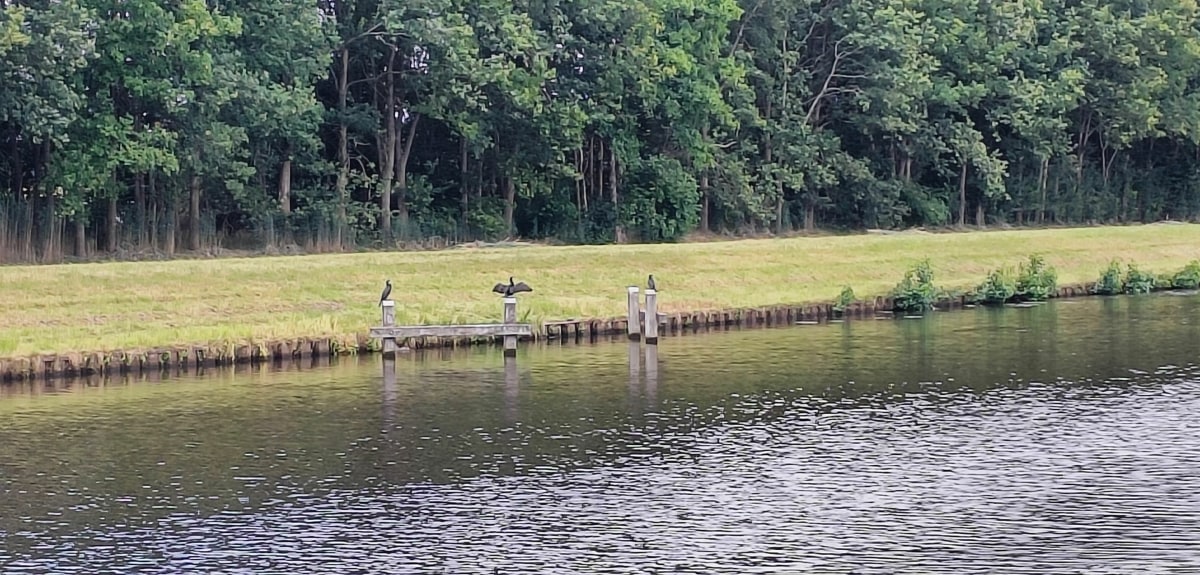 Ronde Koekange, Noordwijk, Koekange - Koekange