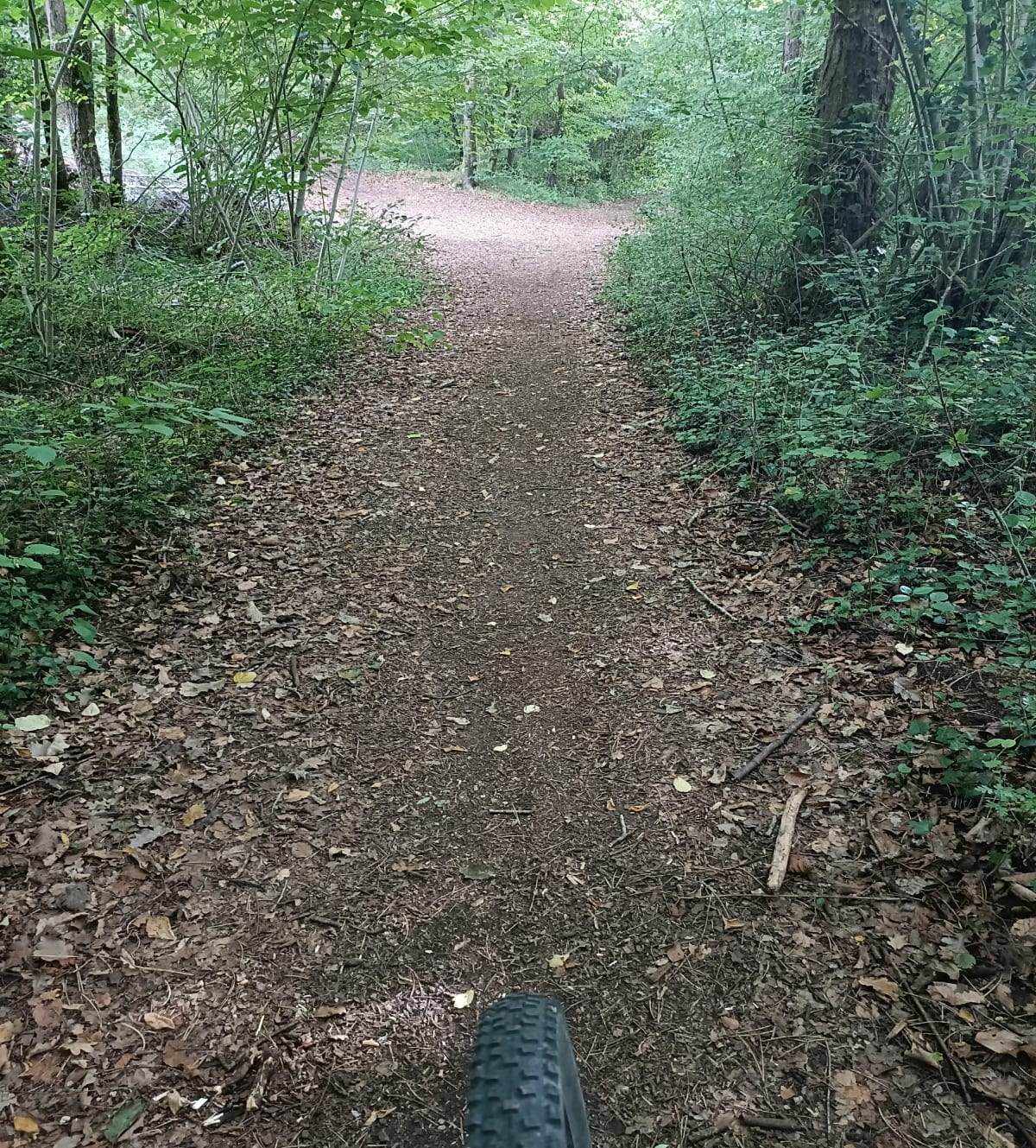Boucle à partir de Cravant, passant à Val-de-Mercy - Deux Rivières