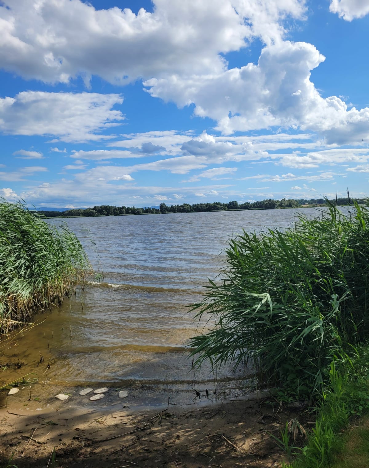 Gostyń-Jezioro Łąka - Poręba
