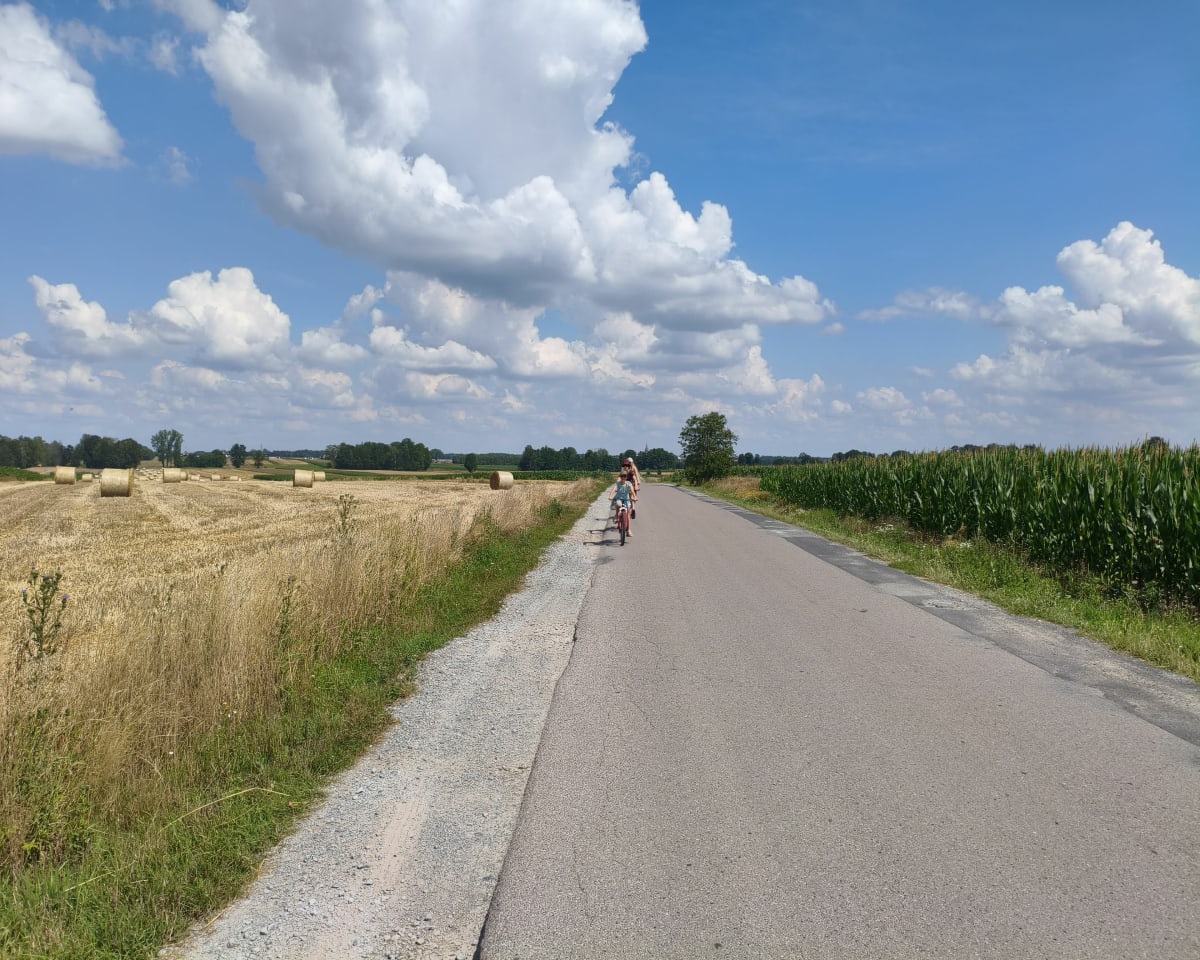Andrespol - Rybakówka - Andrespol