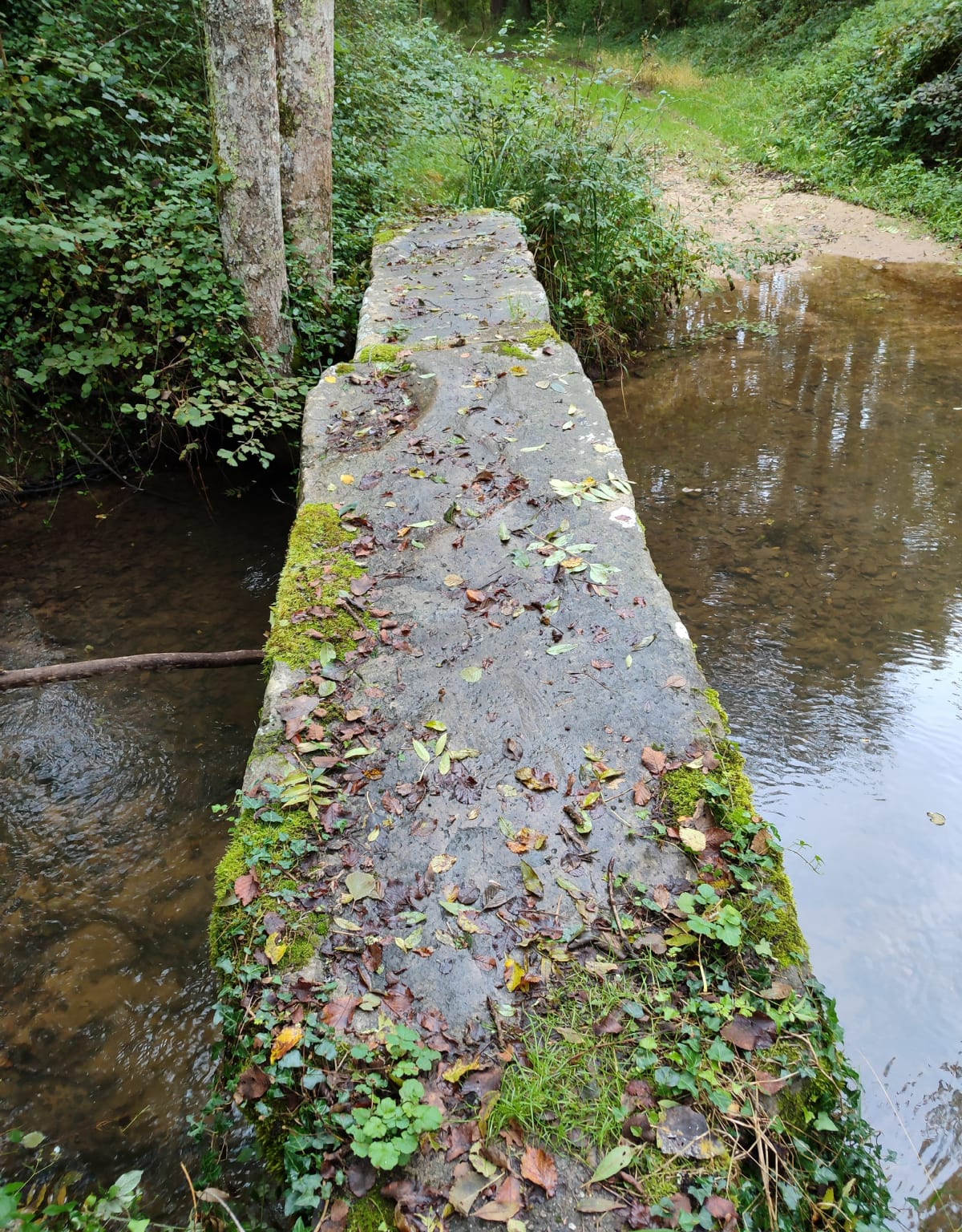 Balade à l'ombre à Sainte-Geneviève-des-Bois - Sainte-Geneviève-des-Bois