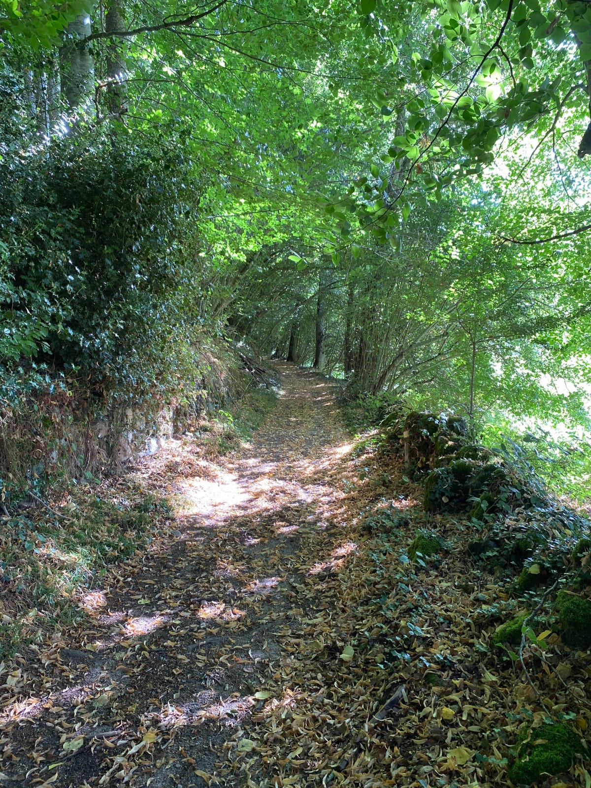 Promenade à Saint-Silvain-Bellegarde - Saint-Silvain-Bellegarde