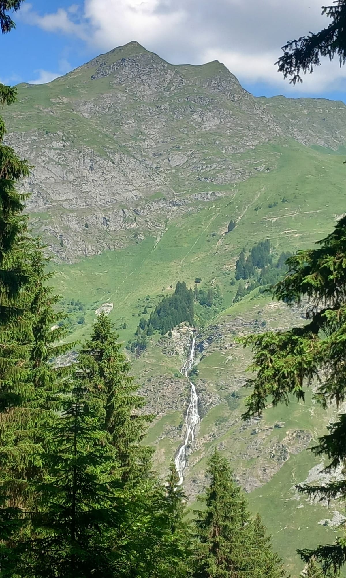 Le bois du Frumier - Champagny-en-Vanoise
