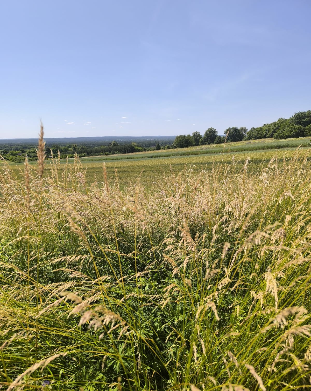 Częstochowa, Biskupice, Czatachowa, Dębowiec, Częstochowa - Częstochowa