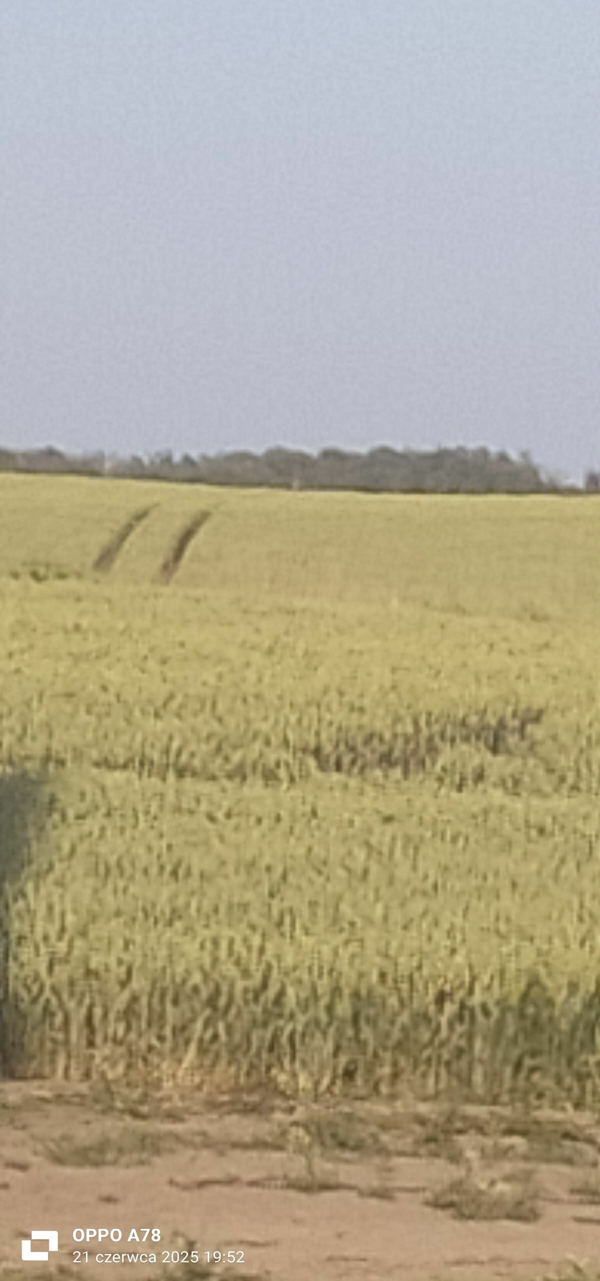 Zwykła przejażdżka rowerowa - Moczkowo
